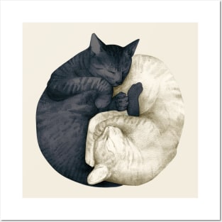 yin yang cats Posters and Art